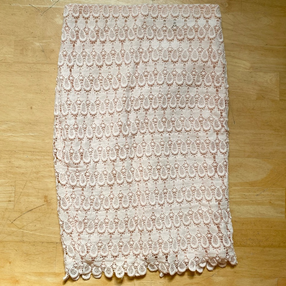Ann Taylor Womens Size 0 Blush Crochet Pencil Skirt